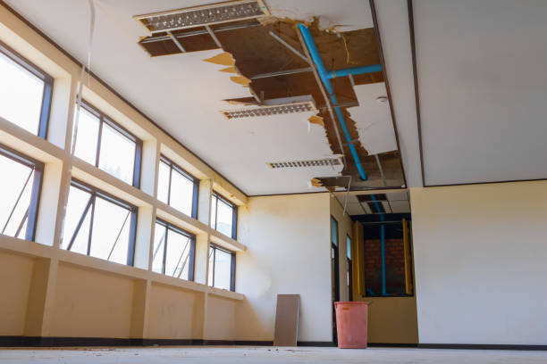  West Lake Hills, TX Water damage restoration Pros