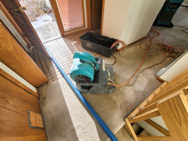 Best Fire Damage Restoration  in West Lake Hills, TX