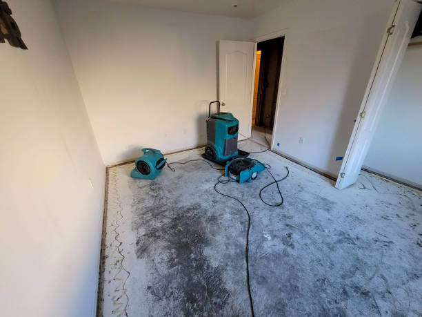 Best Professional water damage repair  in West Lake Hills, TX