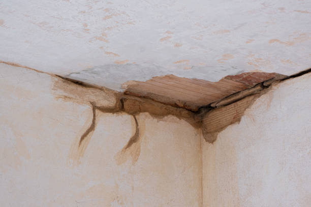 Best Flood damage cleanup  in West Lake Hills, TX