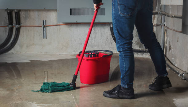 Best Professional water damage repair  in West Lake Hills, TX
