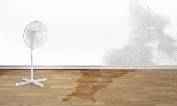 Best Flood restoration services  in West Lake Hills, TX